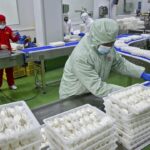 China’s factory activity contracts in May, but there are signs of improvement
